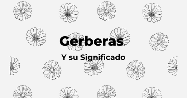 Gerbera Significado