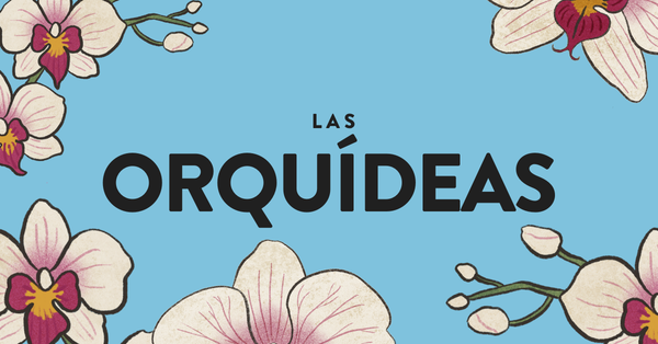 Orquídeas