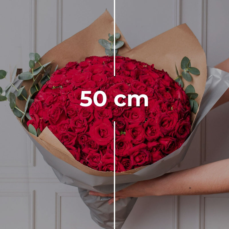 Ramo Buchón - 100 Rosas Rojas