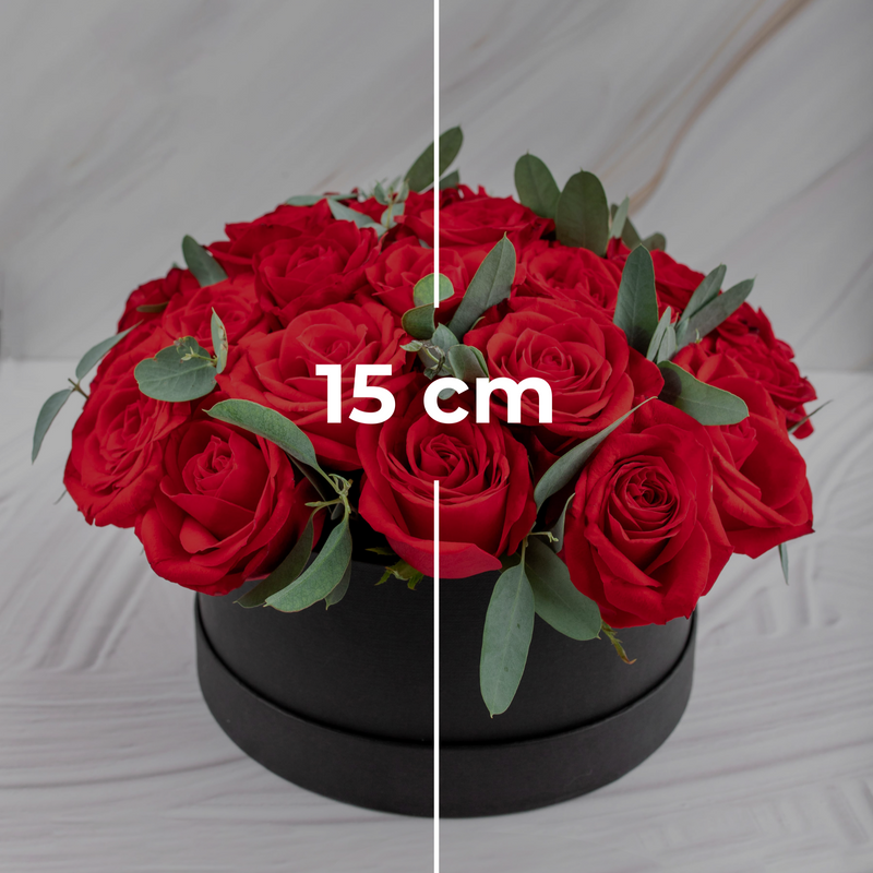 Catarina - Caja Rosas Rojas