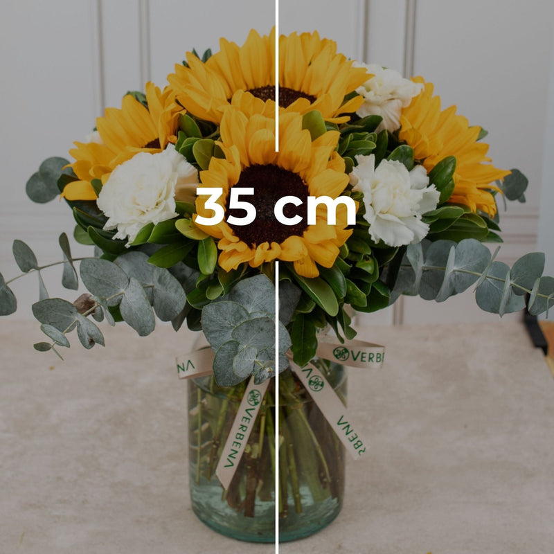 Cuando Calienta el Sol - Girasol y Clavel Blanco