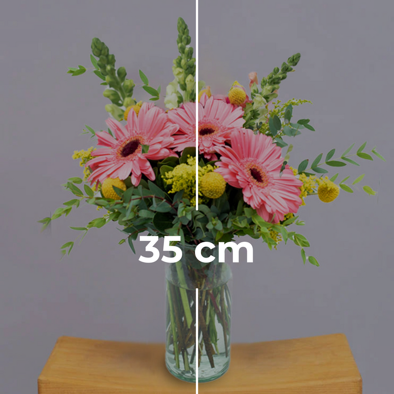Optimista - Gerbera Rosa, Craspedia Amarilla y Perrito Blanco