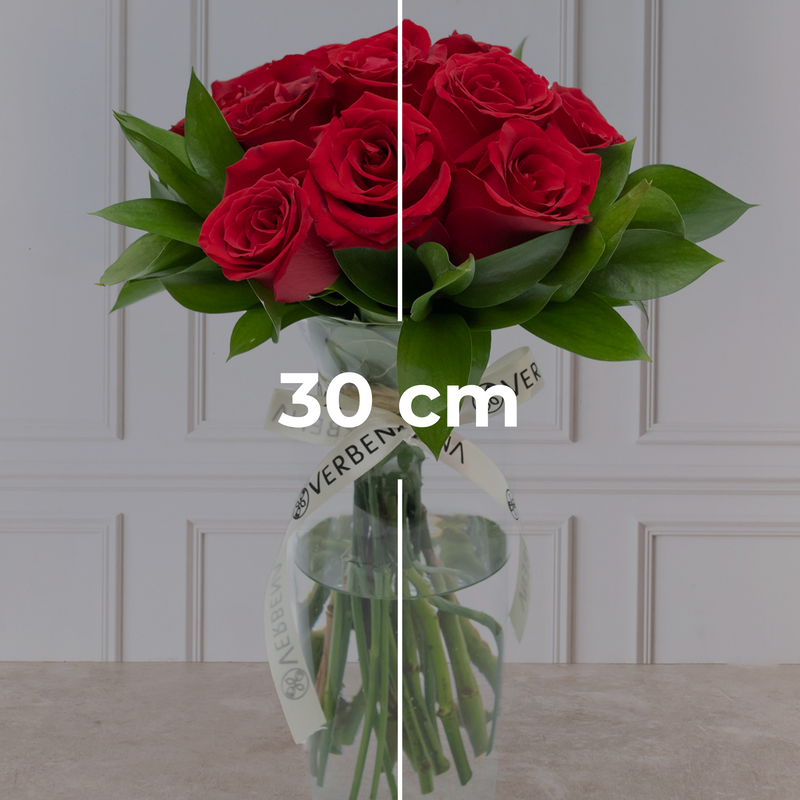 La Vida en Rosa Petite - Rosa Roja