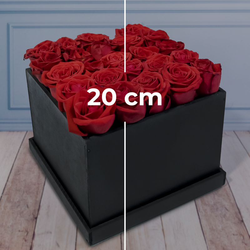 Mi Amor - Rosas Rojas en Caja