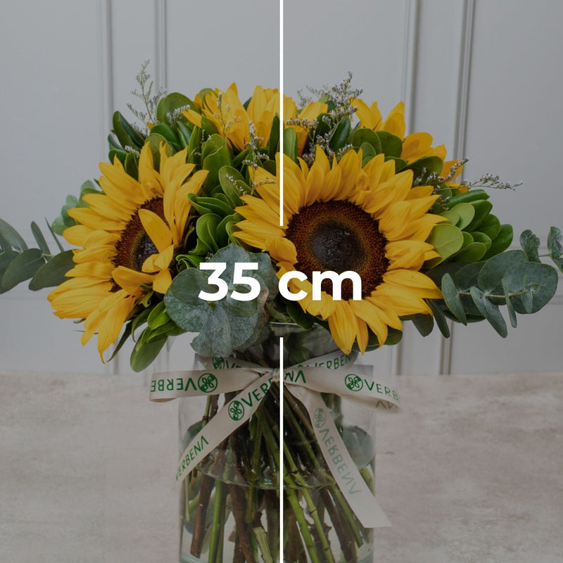 Sonrisa de Sol - Girasoles