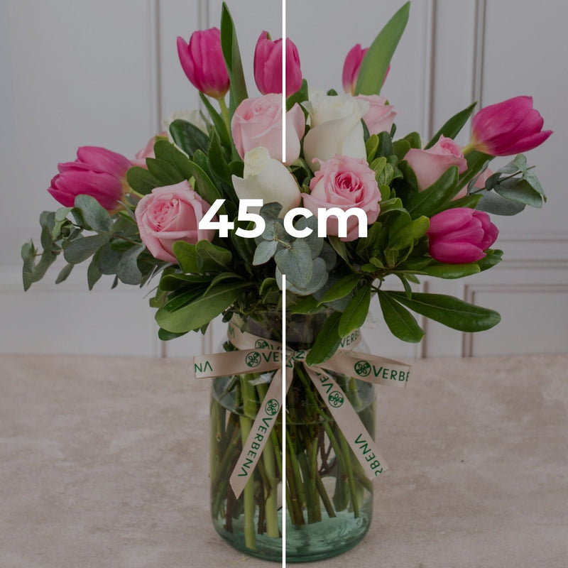 Rosa Holandesa - Tulipán, Rosa Blanca y Rosa Clarita M