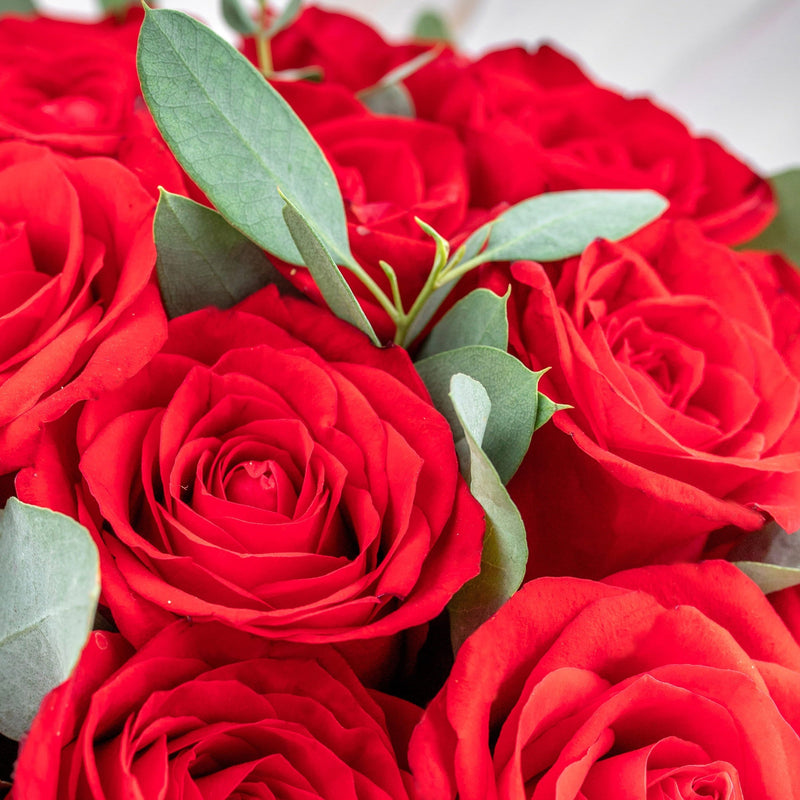 Catarina - Caja Rosas Rojas