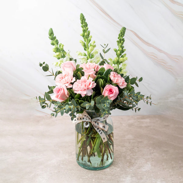 Campo Rosa - Rosa Clara, Clavel Rosa y Perrito Blanco