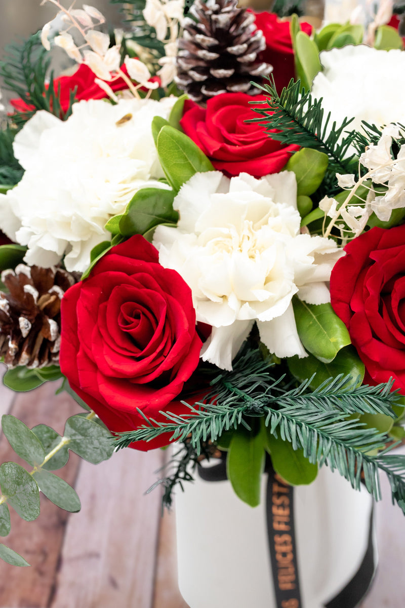 Luz del Norte - Rosa Roja, Clavel Blanco y Piñas Navideñas