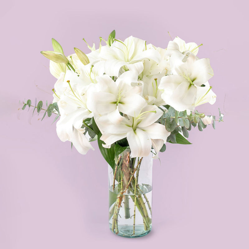 Casa Blanca - Lilium Blanca