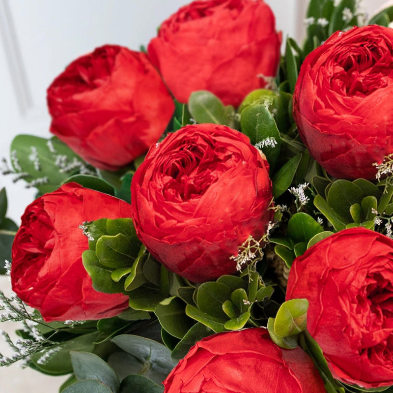 Cereza - Peonias Rojas