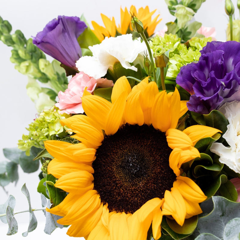 Emocionante - Girasol, Clavel Rosa y Blanco, Hortensia y Perrito
