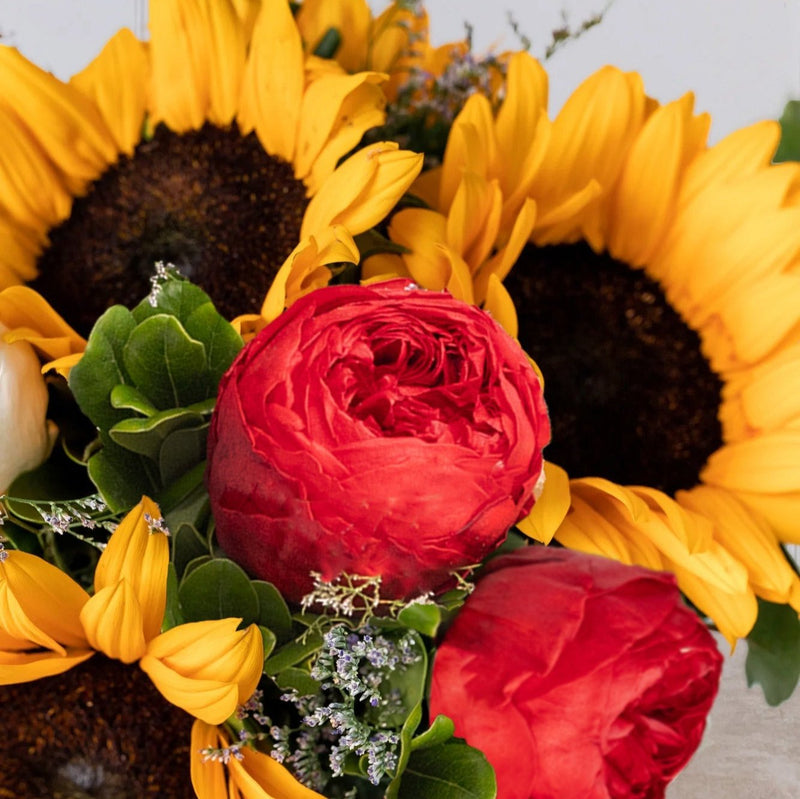 Encanto - Peonia Roja y Girasol