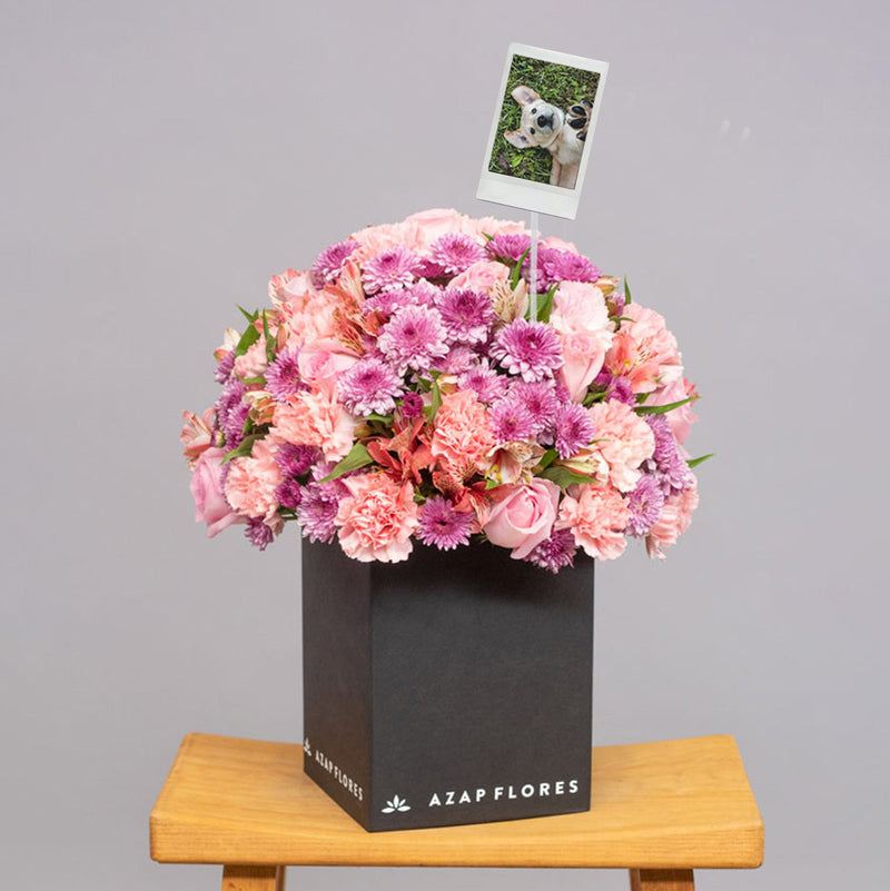 Ternura con Foto Personalizada - Rosa, Clavel y Astromelia Rosa