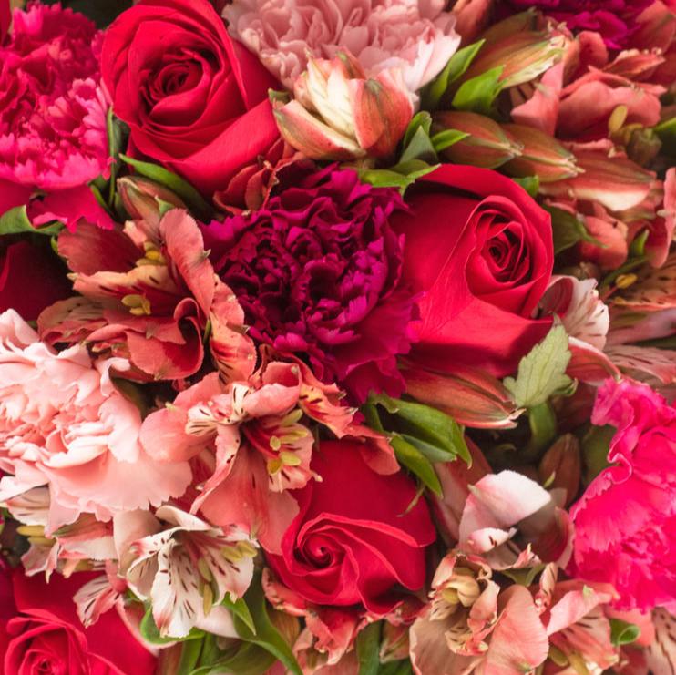 Enamorados - Rosa Roja, Clavel Rosa y Astromelia Rosa