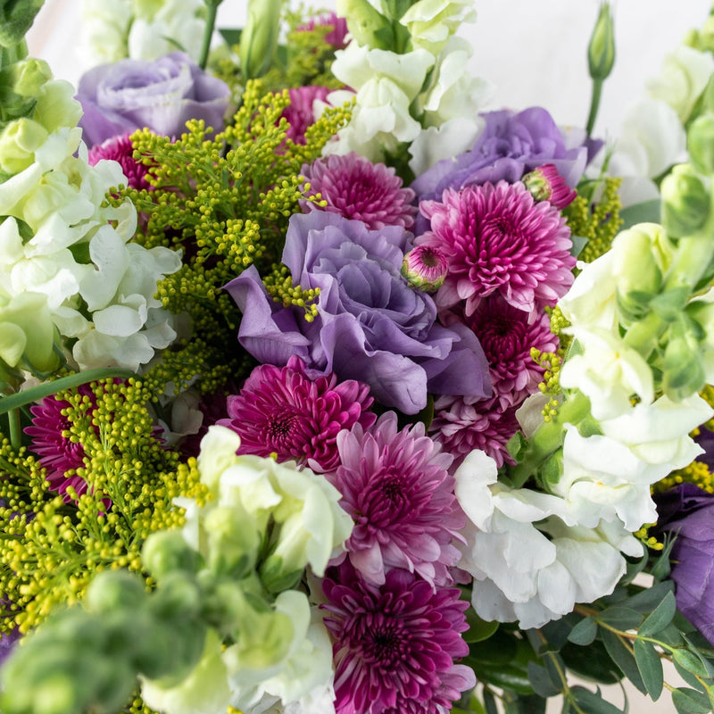 Aurora Boreal - Lisianthus Morada, Morelianas y Perrito Blanco