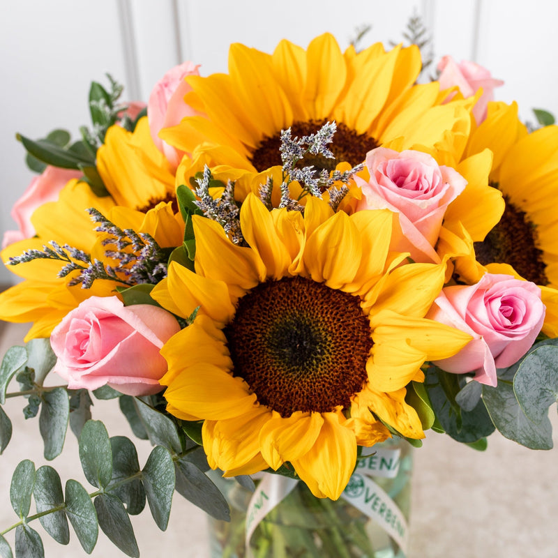 Arizona - Girasol con Rosa Clarita