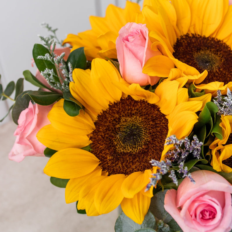 Arizona - Girasol con Rosa Clarita