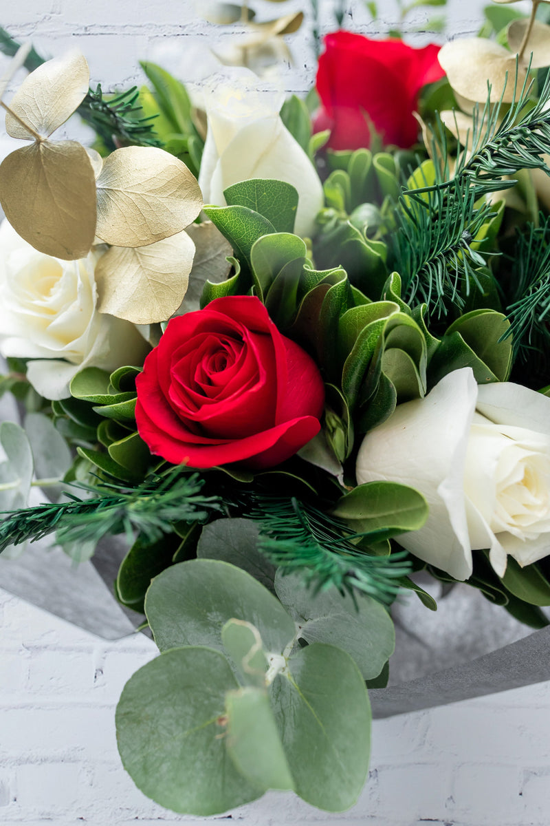 Jingle Bell - Rosa Roja y Rosa Blanca