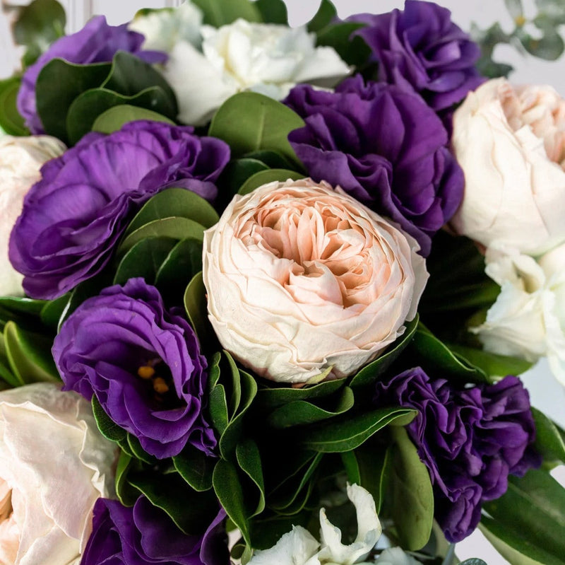 Jardín de Amor - Peonia Eterna Rosa, Lisianthus Morado y Clavel