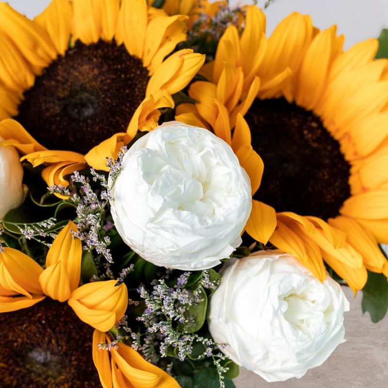 Serenata - Peonia Blanca y Girasol