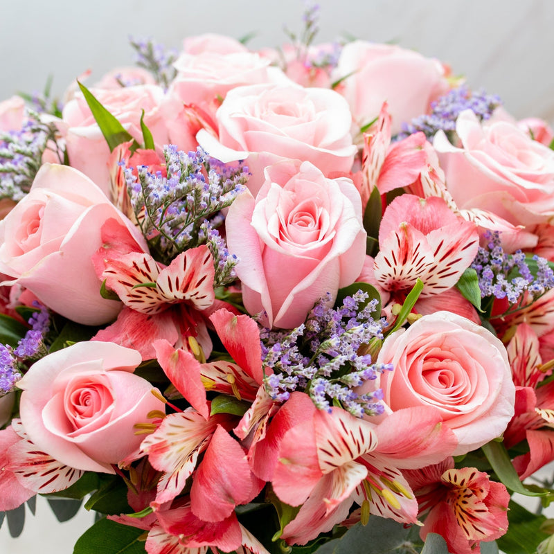 Cupido - Rosa Clarita y Astromelia Rosa