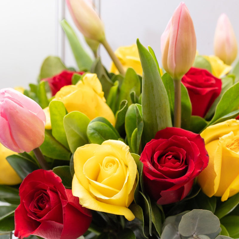Ámbar - Tulipán, Rosa Amarilla y Roja