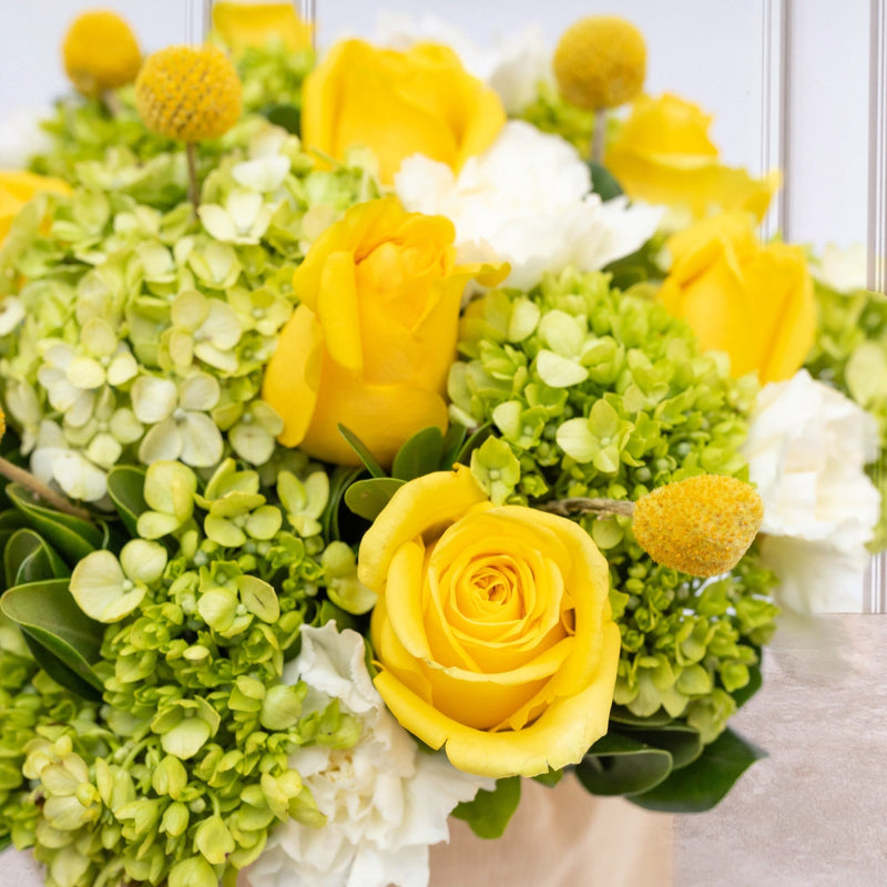 Vainilla - Rosa Amarilla, Clavel Blanco y Hortensia.