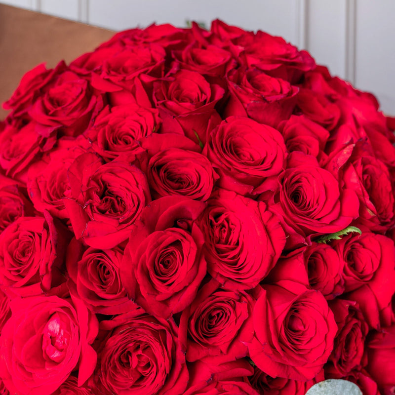 Ramo Buchón - 100 Rosas Rojas