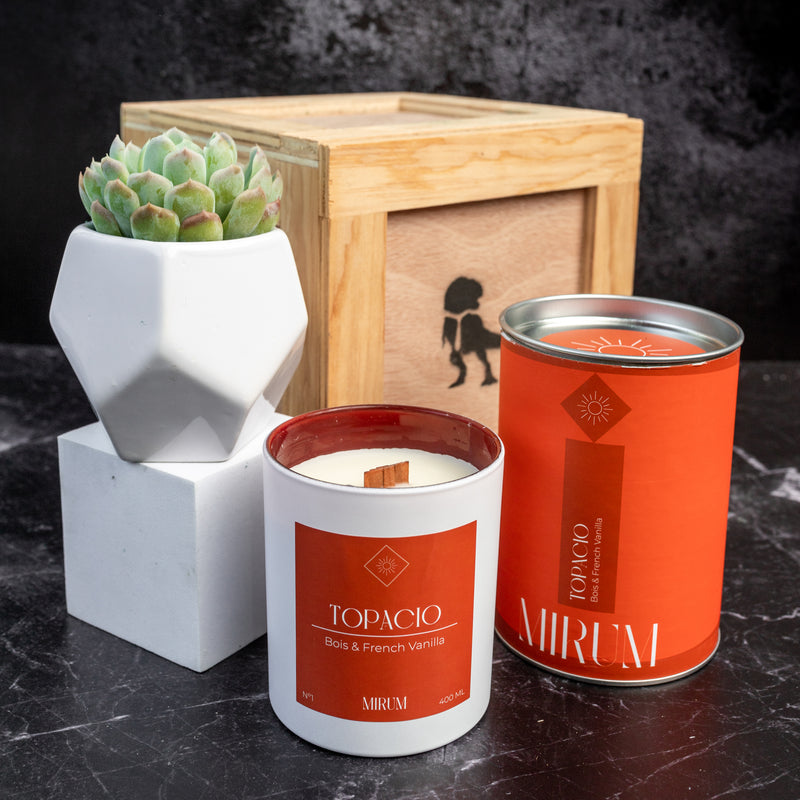 Kit Vela Mirium Topacio - con Suculenta