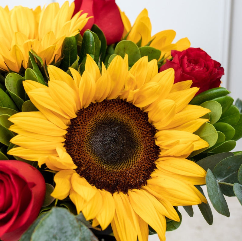 Ocaso - Girasol y Rosa Roja