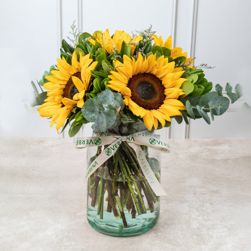 Sonrisa de Sol - Girasoles