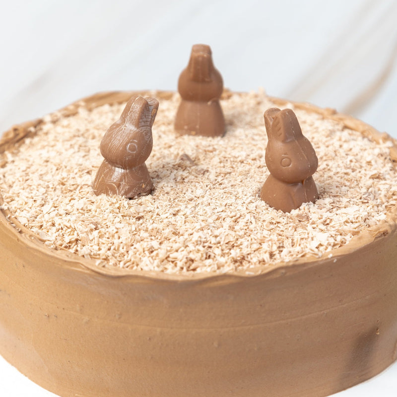 Pastel de Conejito Turín - Chocolate