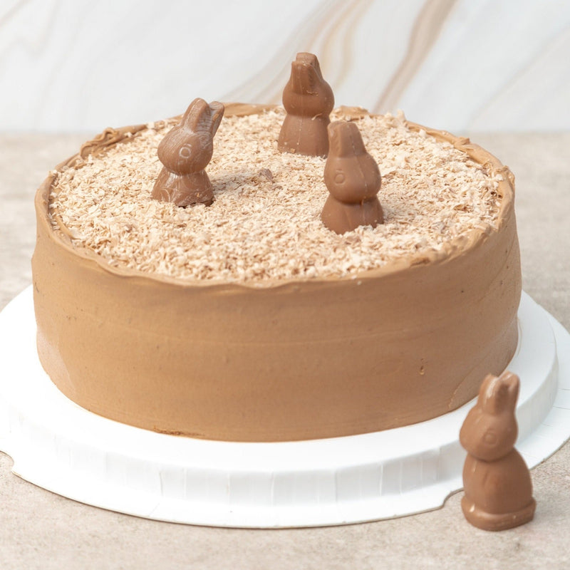 Pastel de Conejito Turín - Chocolate