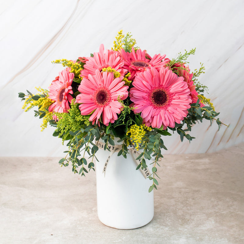 Chispitas de Gerberas - Gerbera Rosa