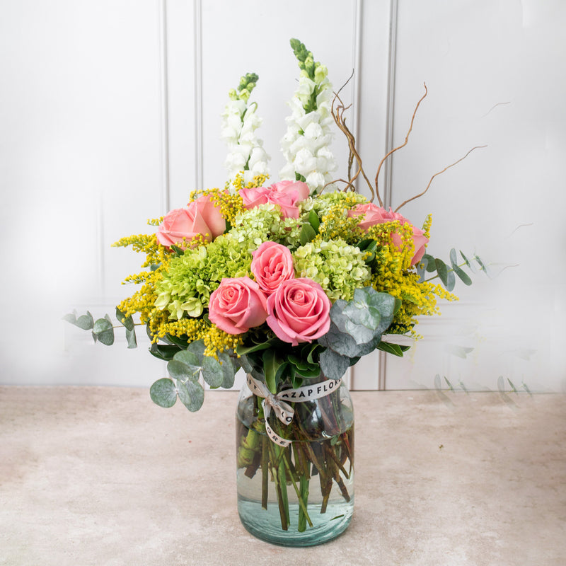 Brillante - Rosa Clarita, Hortensia y Perrito Blanco
