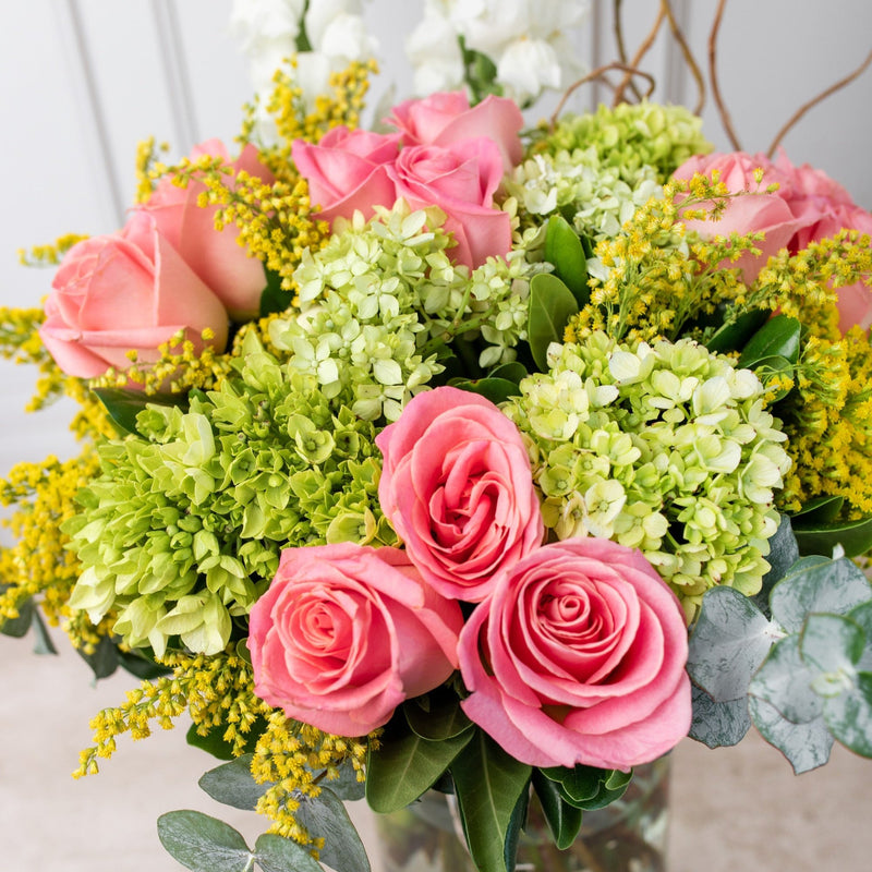 Brillante - Rosa Clarita, Hortensia y Perrito Blanco