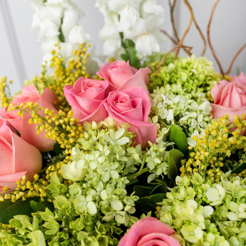 Brillante - Rosa Clarita, Hortensia y Perrito Blanco