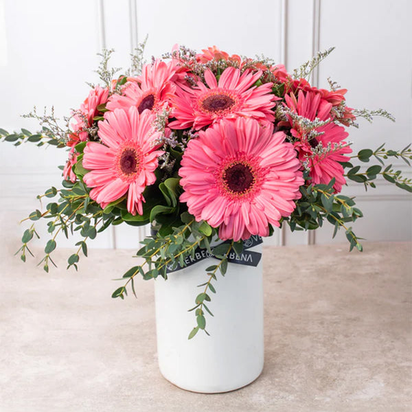 Dulce Primavera - Gerbera Rosa