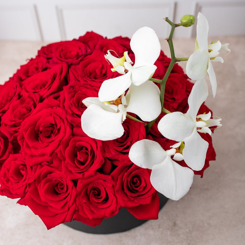Escarlata - Caja de Rosas Rojas con Orquídea Blanca