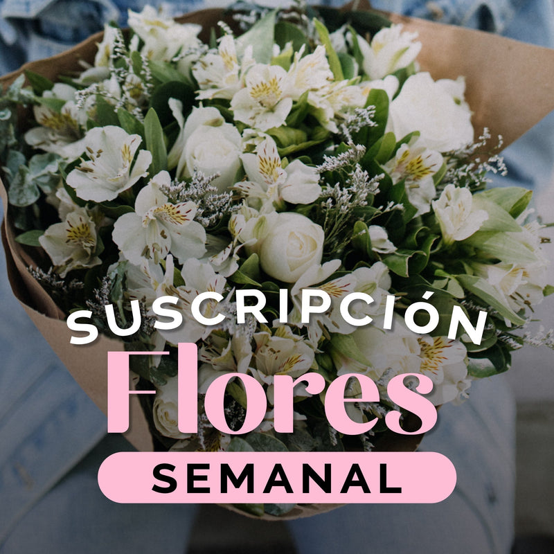 Suscripción Semanal