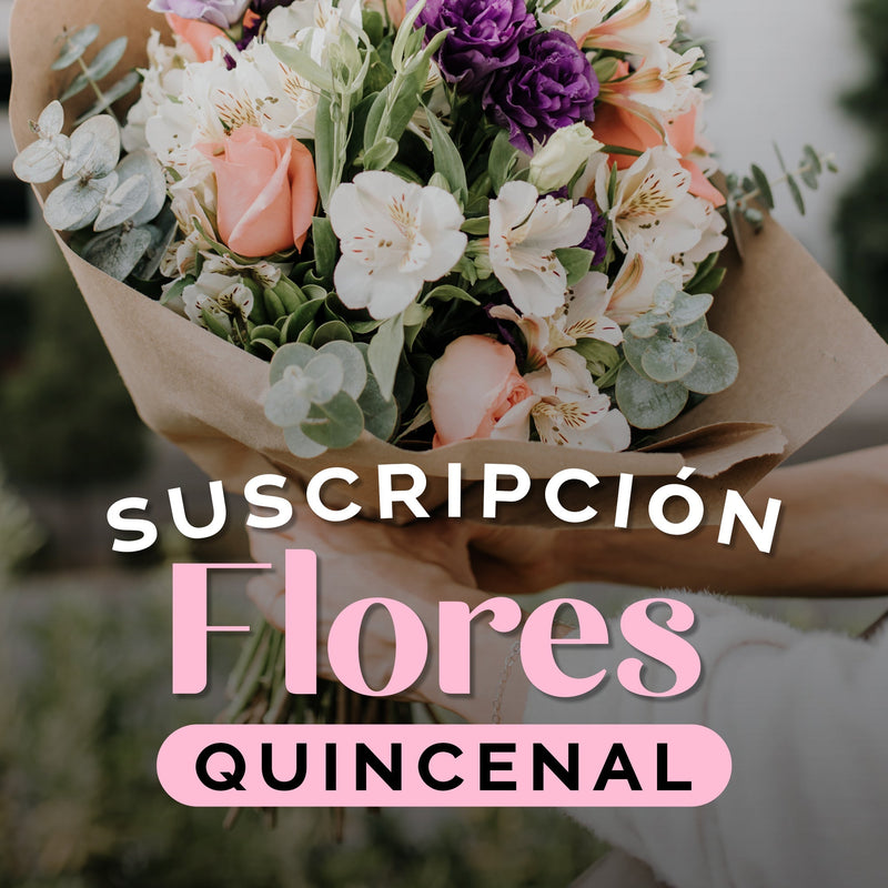 Suscripción Quincenal