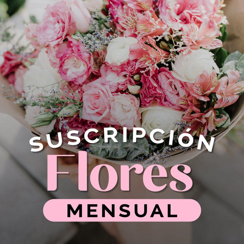 Suscripción Mensual