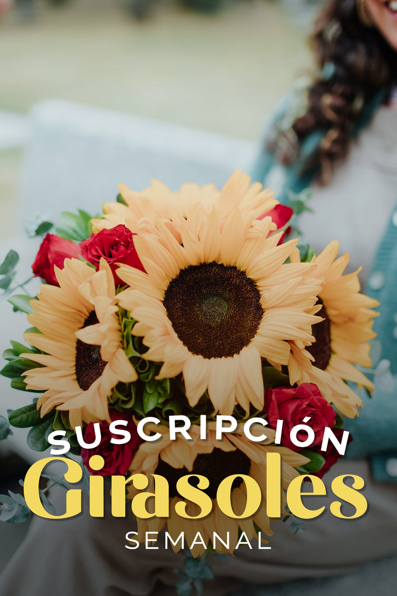 Suscripción Girasoles Semanal