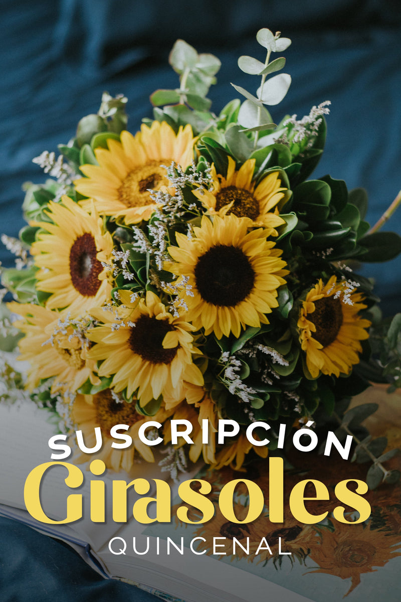 Suscripción Girasoles Quincenal