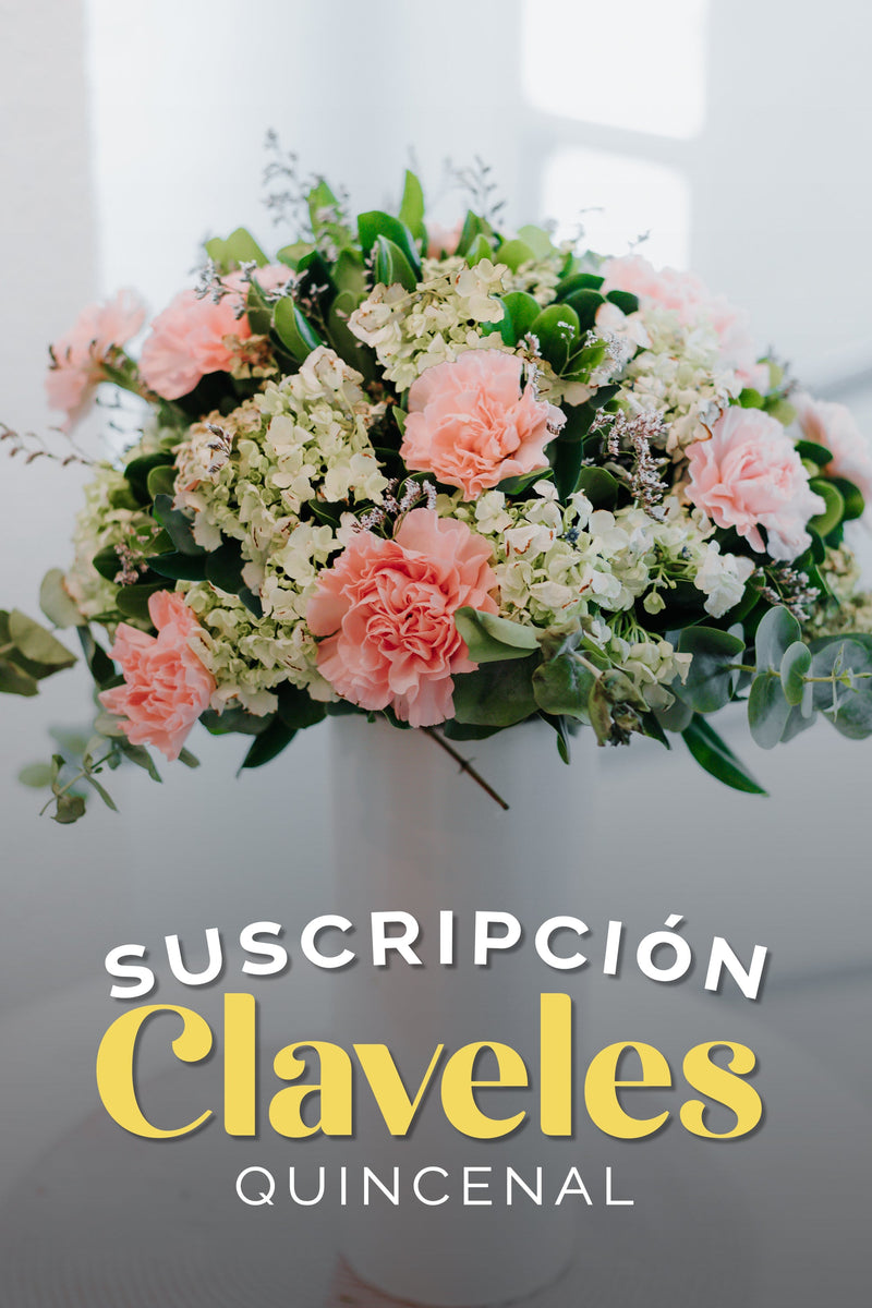 Suscripción Claveles Quincenal