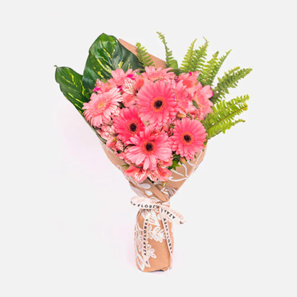Inocencia - Gerbera Rosa
