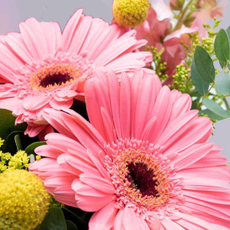 Optimista - Gerbera Rosa, Craspedia Amarilla y Perrito Blanco