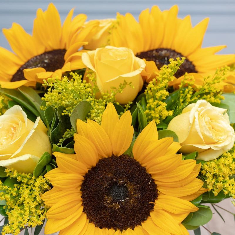 Sol Radiante - Girasol y Rosa Amarilla